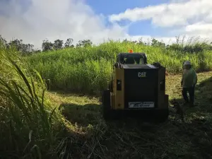 brush clearance solution