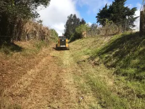 Land Clearing and Excavation