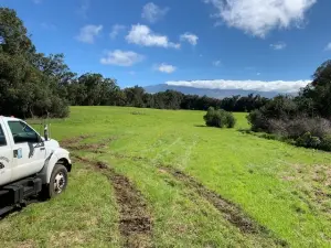 Land-Clearing