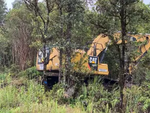 Hawaii tree services