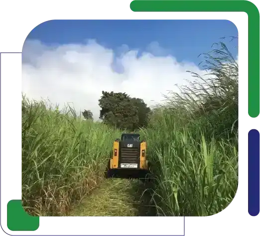 Hawaii Mulching and Bulldozing - About Image