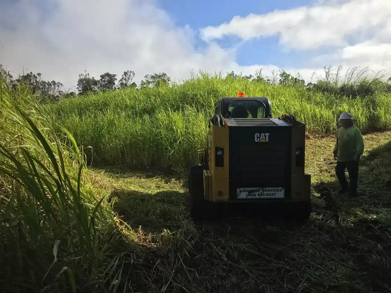 Land Clearing Company by Hawaii Mulching and Bulldozing